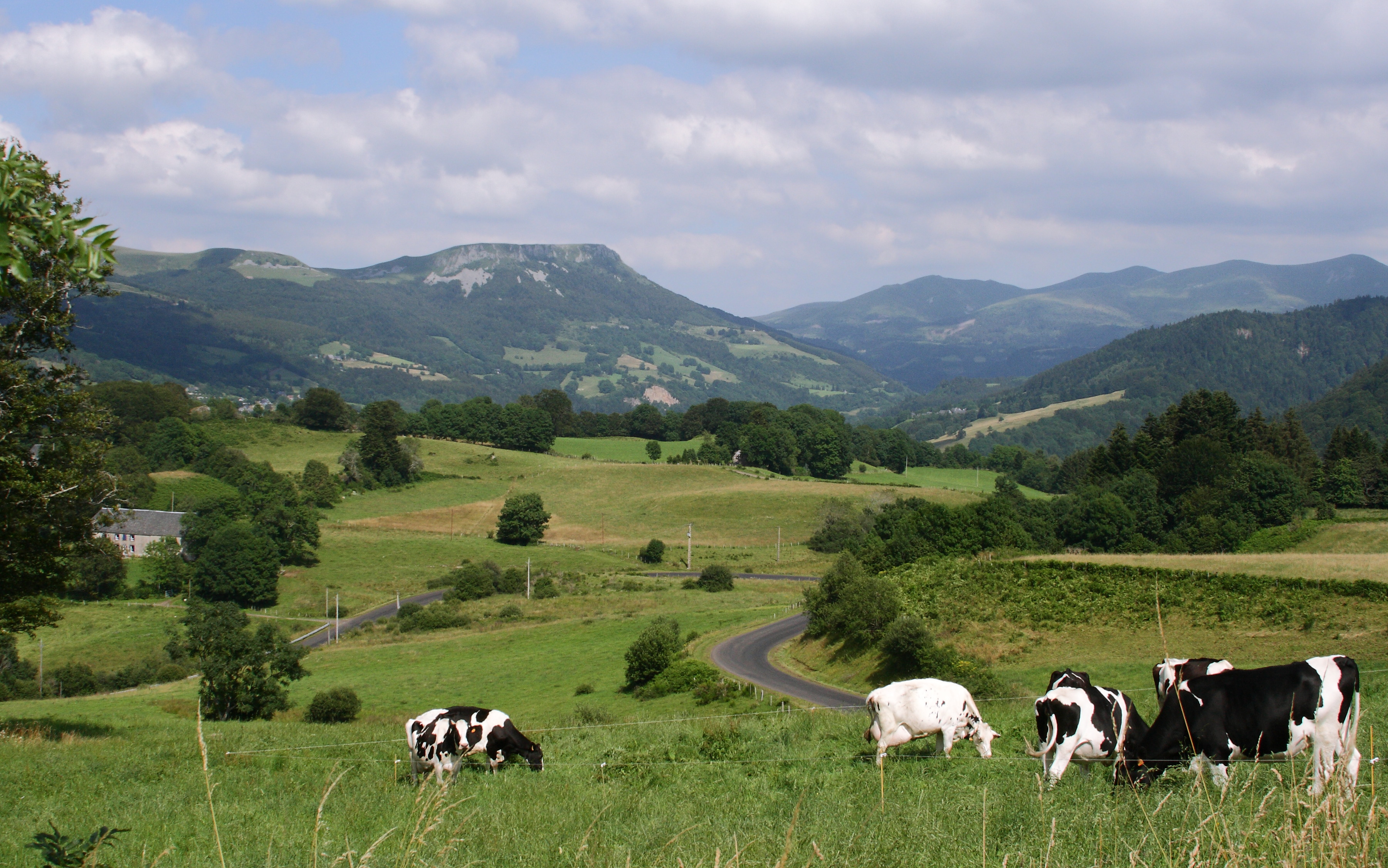 Auvergne IMG_3995